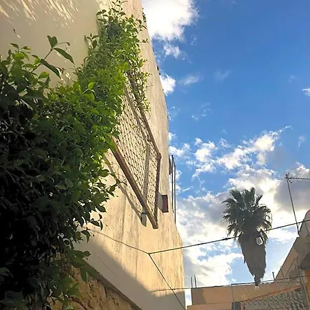 Le Mat Larnaca