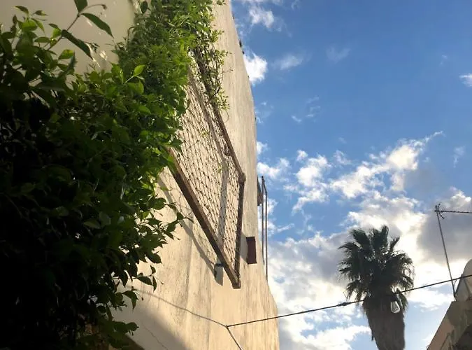 Le Mat Auberge de jeunesse